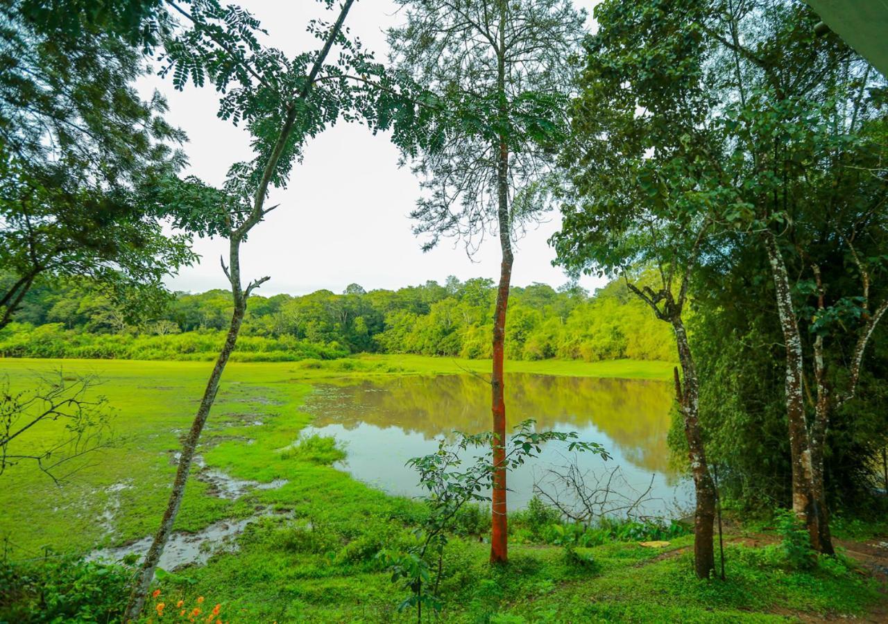 Tusker Inn Wayanad Forest Villa By Voye Homes 외부 사진